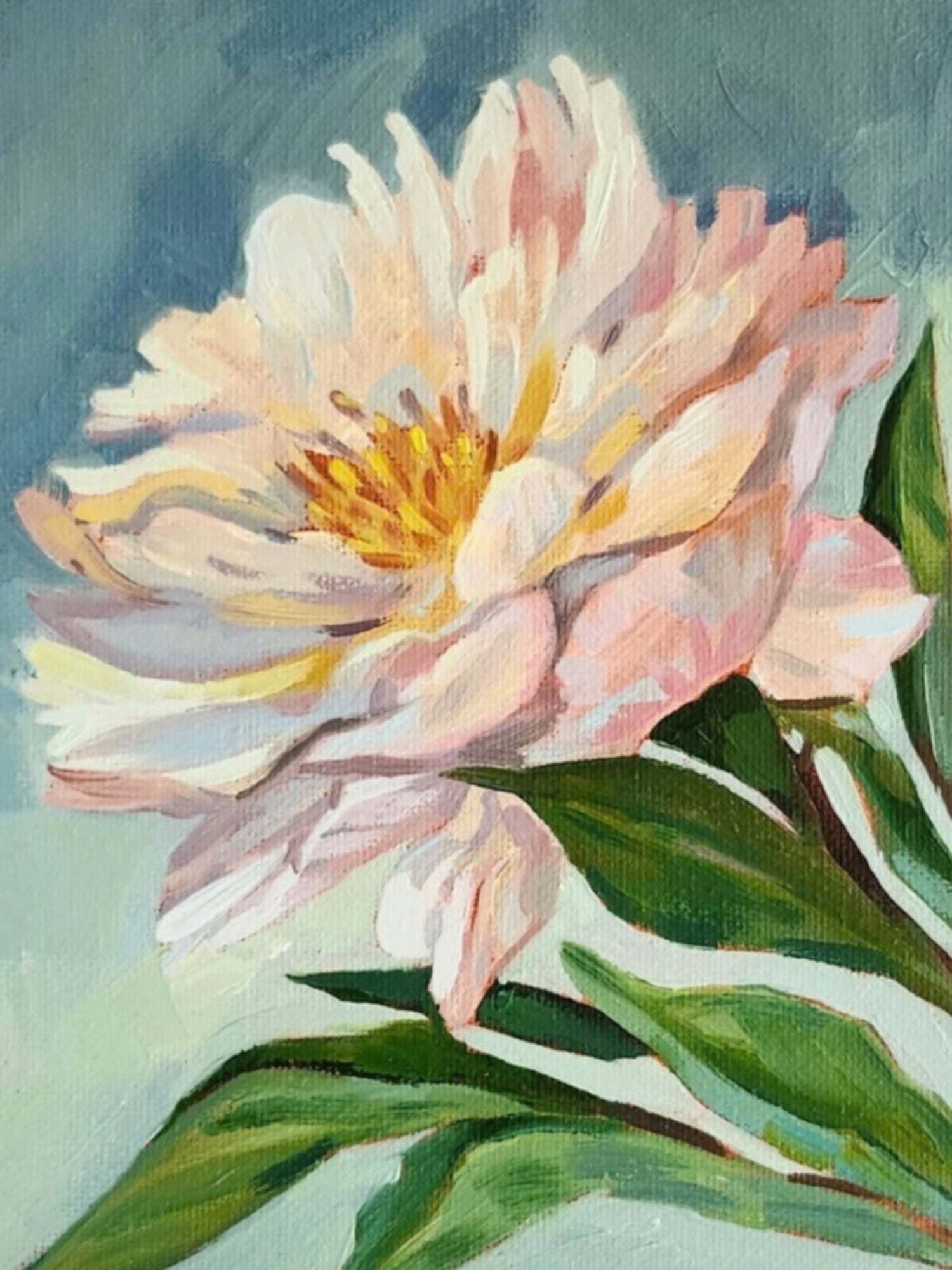 Peony — Oil on canvas, 8" × 8"